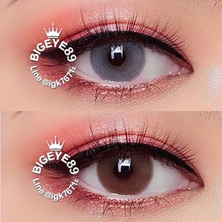 คอนแทคเลนส์ Wink Lens Noey(Gray,Brown) ค่าสายตา 0.00 ถึง -5.00