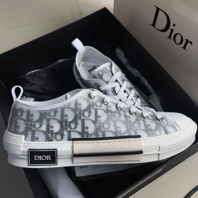 dior x kaws oblique