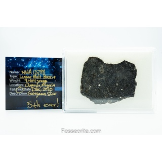 [ใหญ่มาก+9404mg] อุกกาบาตดวงจันทร์ NWA 13788 Lunar Melt Breccia Meteorite from Moon พร้อมใบรับรอง ของขวัญล้ำค่าจากฟ้า