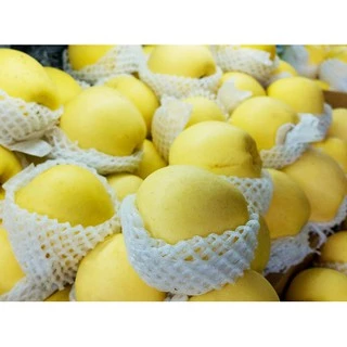 สาลี่น้ำผึ้ง Sweet Pear (4ลูก) (CHN) นำเข้า ~ลดพิเศษ~ หอม หวาน อร่อย !