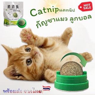 กัญชาแมว Catnip แคทนิป ลูกบอลกัญชาแมว หมุนได้ ติดผนัง ไม่หล่นหาย น้องแมวชอบ