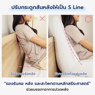 Chowa หมอนพิงหลังสลบเหมือด หมอนแก้ปวดหลัง หมอนข้างใบยักษ์จากเกาหลี