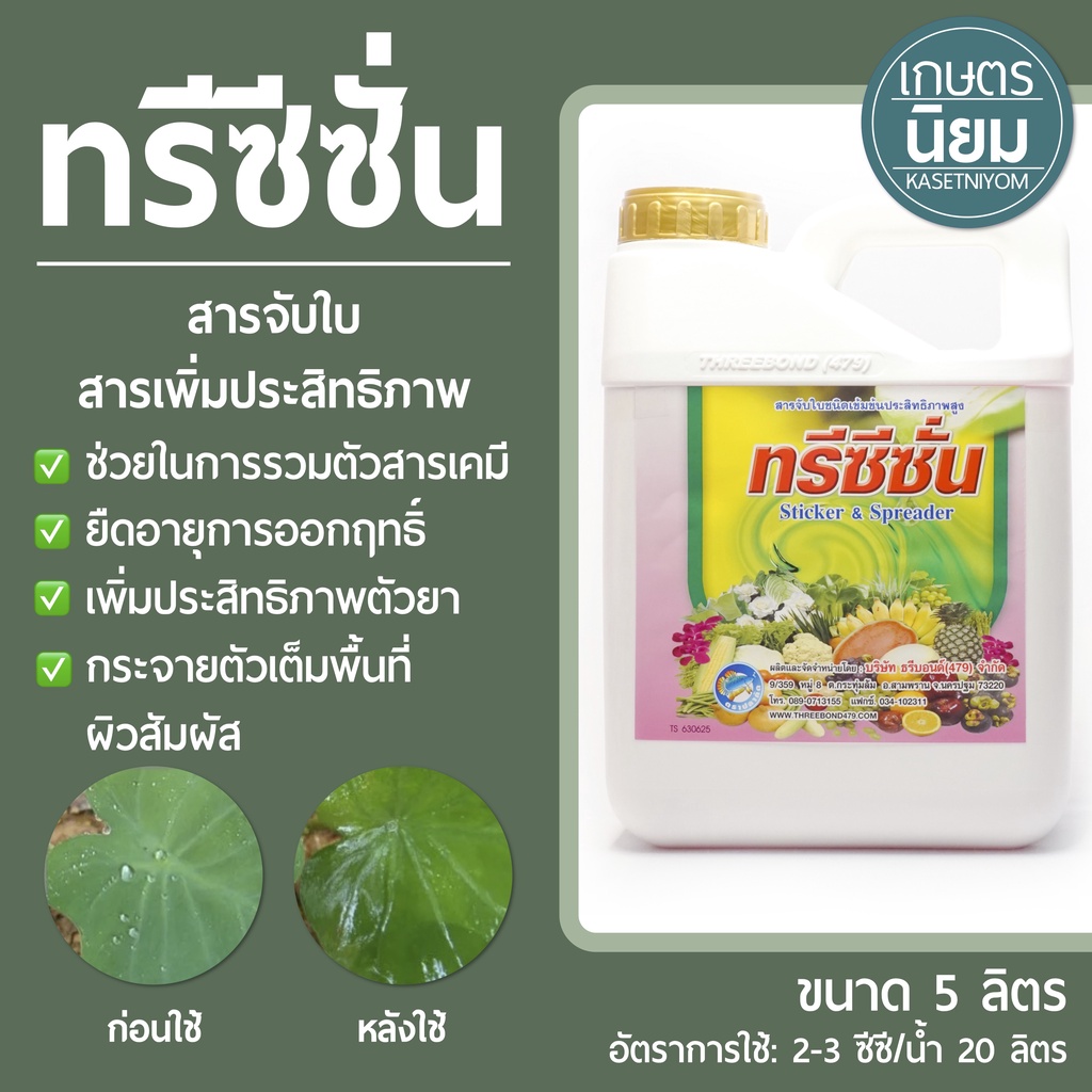 ทรีซีซั่น (สารจับใบ สารเพิ่มประสิทธิภาพ) *แกลลอน 5 ลิตร*