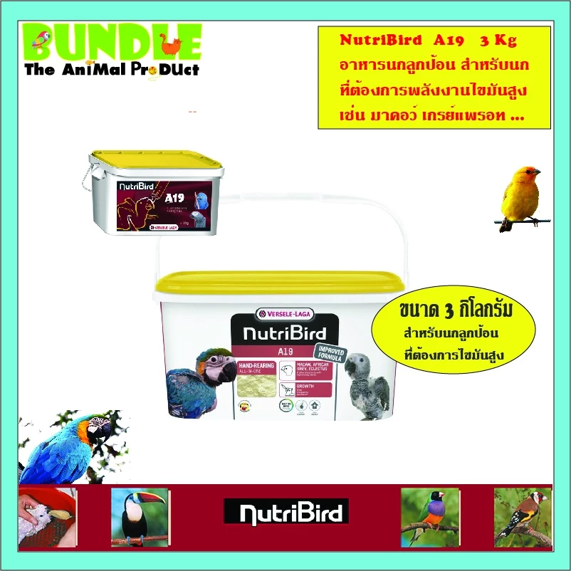 NutriBird A19 3 Kg. อาหารนกลูกป้อน อาหารลูกป้อน สำหรับลูกนกที่ต้องการพลังงานไขมันสูง ขนาด 3 กิโลกรัม