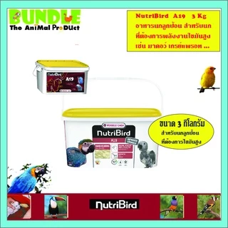 NutriBird A19 3 Kg. อาหารนกลูกป้อน อาหารลูกป้อน สำหรับลูกนกที่ต้องการพลังงานไขมันสูง ขนาด 3 กิโลกรัม
