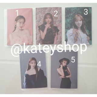 พร้อมส่ง🎉 Sakura goods