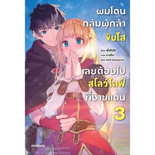 S ผมโดนกลุ่มผู้กล้าขับไสเลยต้องไปสโลว์ไลฟ์ที่ชายแดน 3 (LN)