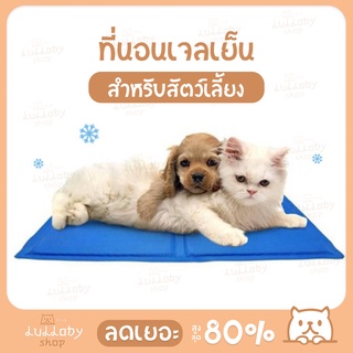 พร้อมส่งจากไทย แผ่นเจลเย็น สัตว์เลี้ยง Pet Cool Mat สำหรับตว์เลี้ยง ที่นอนเย็น แผ่นทำความเย็น น้องหมา น้องแมว