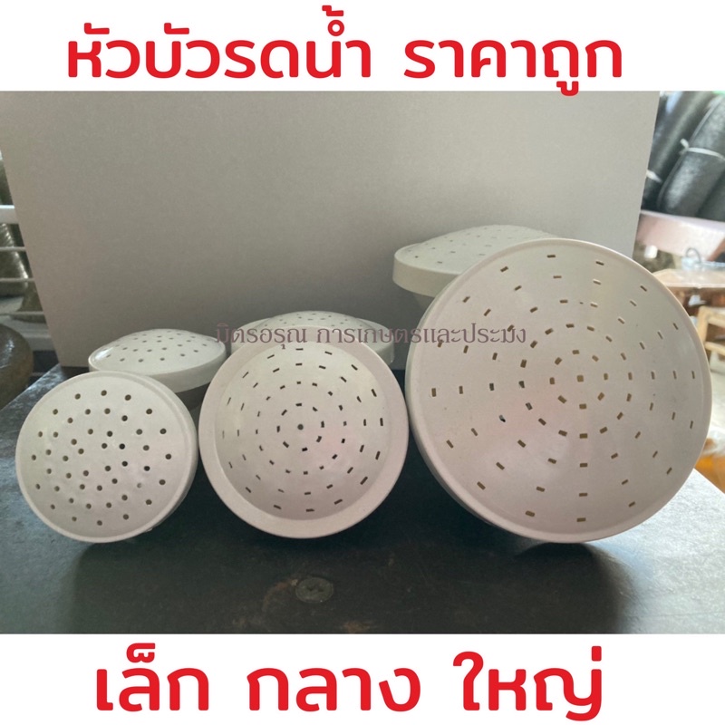 หัวบัวรดน้ำพลาสติก เล็ก กลาง ใหญ่ ตรามังกร 🔥ราคาถูก🔥