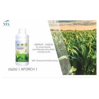 เอฟอช AFORCH 1 ลิตร สารจับใบคุณภาพสูง ช่วยเพิ่มประสิทธิภาพการแทรกซึมใบ ช่วยลดต้นทุนในการฉีดพ่นปุ๋ยและยา
