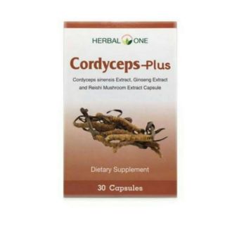 Cordyceps-Plus
ตังถั่งเฉ้า