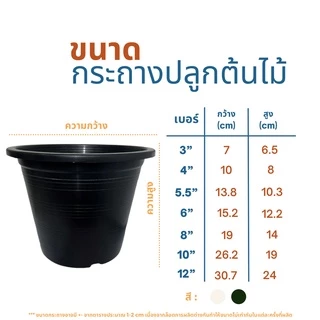 (10 ใบ) กระถางบัว เบอร์ 12 (ปากกว้าง 10 นิ้ว) สีดำ ปลูกบัว