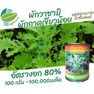 เขียวน้อย 100 กรัม (Green Mustrad)​ ผักกาดหิ่น ผักวาซาบิ #ลาบ #วาซาบิ #เขียวน้อย #ผักกาดสร้อย