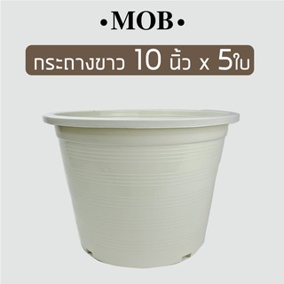 MOB กระถาง สีขาว สีครีม 10 นิ้ว x 5 ใบ กระถางขาว กระถางพลาสติก กระถางราคาถูกสำหรับปลูกต้นไม้ทั่วไป ใช้เป็นกระถางต้นไม้