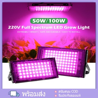 220V Full Spectrum LED Grow Light 50W ไฟปลุกต้นไม้ ไฟช่วยต้นไม้ตัวเร็ว มีสวิตช์ปิดเปิด สายไฟยาว1.5โมตร