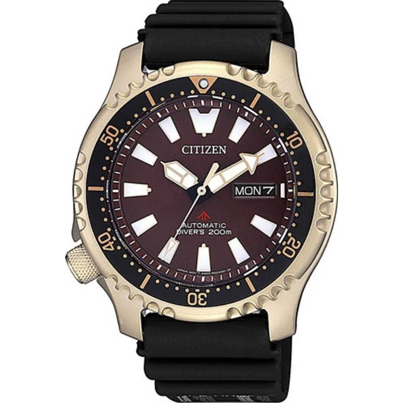 CITIZEN PROMASTER NY0083-14X ASIA Limited Edition
