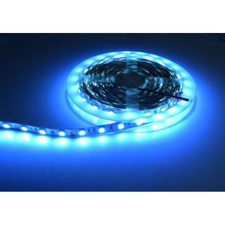 Ip20  Ice blue  ไฟ led เส้น Strip 12v 5050 Eco 60leds/m 5m