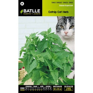 เมล็ด แคทนิป - Catnip Cat Herb