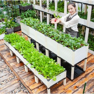 [พร้อมส่ง!!] กระบะปลูกผัก Balcony vegetable box จัดเซต สีขาว