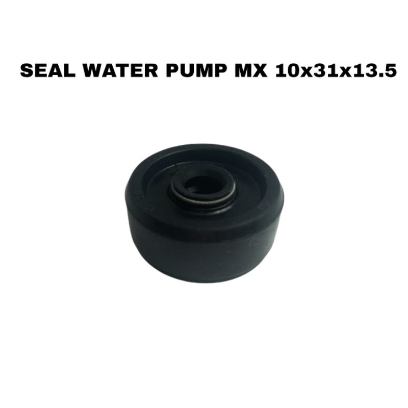 ซีล ปั๊มน้ํา MX 10 x 31 x 13.5