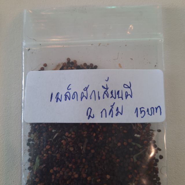เมล็ด(Seeds) ผักเสี้ยนผี