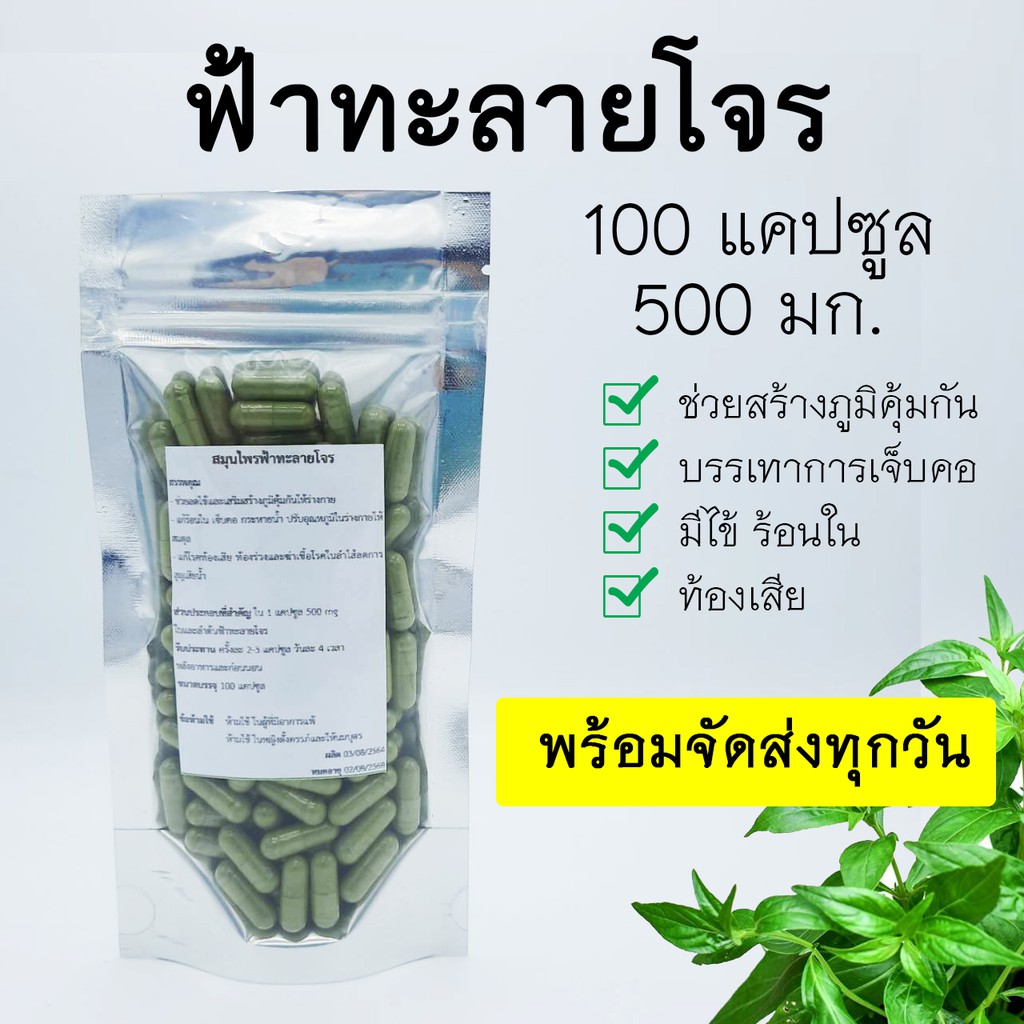 ฟ้าทลายโจรแห้งบด 100 แค๊ปซูล  (ไม่ใช่สารสกัด) – โปรปัง