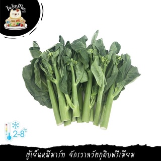 250G-1KG/PACK คะน้าฮ่องกง คัดเกรด CHINESE KALE (F)