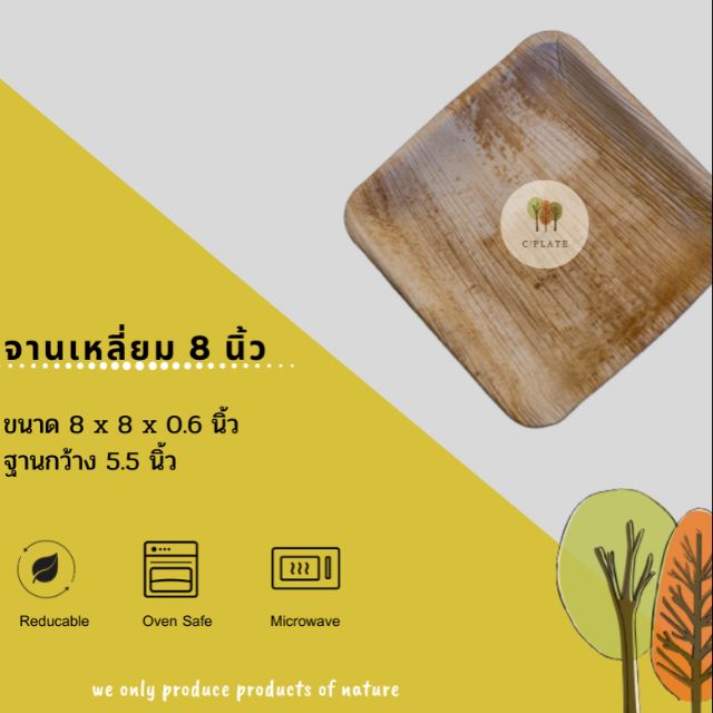 จานกาบหมาก เหลี่ยม 8 นิ้ว จำนวน 1 ใบ
