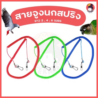 สายคล้องขานก !!ป้องกันนกหลุด ฝึกนกบิน สายจูง สายจูงนก เล็ก สัตว์ ขานก นกบิน นก กรงนก