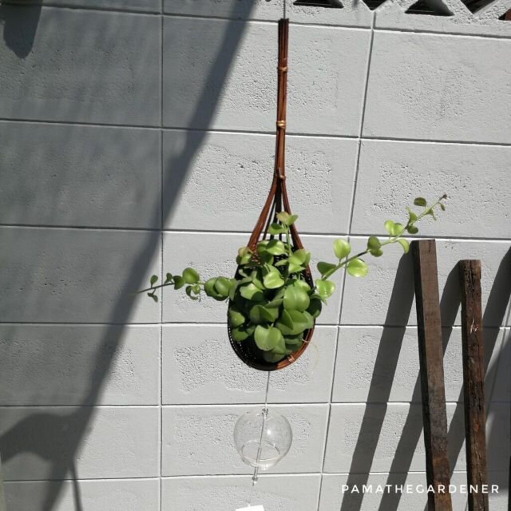 มุมมอง 3