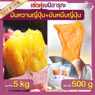 แพ็คคู่ถูกกว่า มันหวานญี่ปุ่น เบนิฮารุกะ 5kg + มันหนึบ 500g  มันหวานญี่ปุ่นนำเข้า มันหวานญี่ปุ่นเบนนิฮารุกะ มันหนึบ