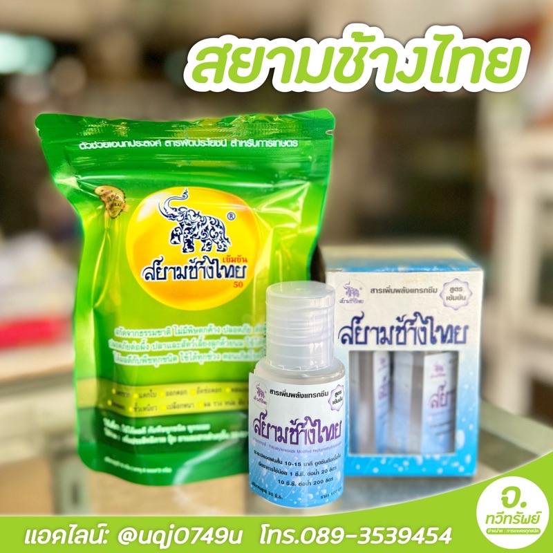 หัวเชื้อสยามช้างไทย 1ชิ้น