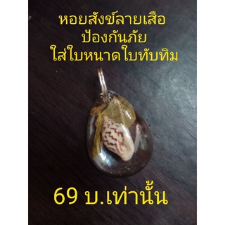 หอยสังข์ลายเสือ ไม่แต่งสี ลายจากธรรมชาติ ป้องกันภัย ใส่ใบหนาดใบทับทิม ป้องกันสิ่งอัปมงคลไม่ให้ติดตามตัว พกไปงานศพได้