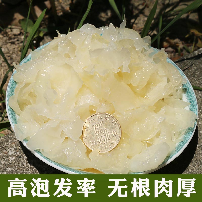 Daily Specials Gutian Broken White Fungus Fragment Waxy Ear White