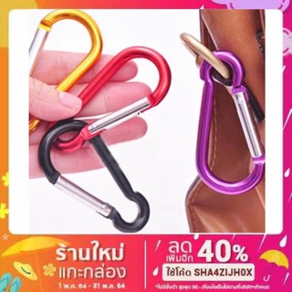 พร้อมส่ง🚀พวงกุญแจ 5# mini carabiner คาราไบเนอร์รูปที่ 5 มะระ