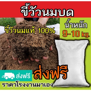 ขี้วัวนมแท้ 100% บดละเอียด ยกกระสอบน้ำหนัก 9-10 kg. จัดส่งฟรี ขี้วัวนมแห้งบดละเอียด มูลวัวนมล้วนๆไร้สารเคมี