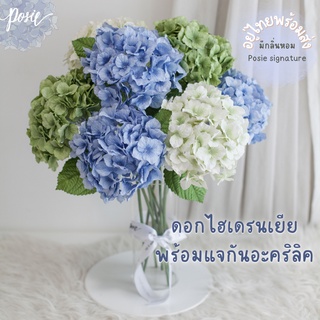 POSIE Hydrangea in Marseille Vase โพซี่ ไฮเดรนเยียในแจกันหมากเซย