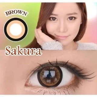 ส่งด่วนทุกวัน‼️คอนแทคเลนส์ Sakura Brown - Wink Lens / Pitchy Lens สีน้ำตาลขนาดตาโต