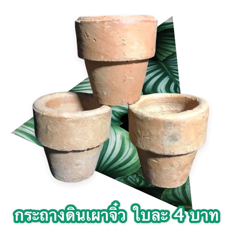 กระถางดินเผาขนาดเล็ก 5x5 cm. มือ 2 (สำหรับปลูกต้นไม้ขนาดเล็ก)