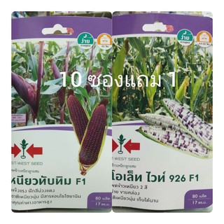 เมล็ดพันธุ์🌽ข้าวโพดข้าวเหนียวลูกผสม.F1/80/เมล็ด/ตราศรแดง