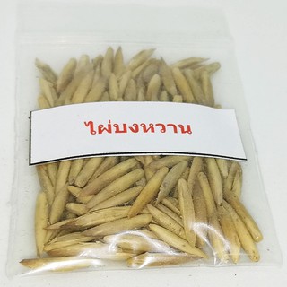 เมล็ดพันธุ์ ไผ่บงหวาน Bambusa Sp 100 เมล็ด