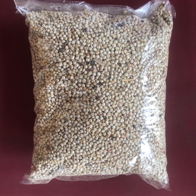 รวมกัน 93+ ภาพ เมล็ด ข้าวฟ่าง ใหม่ที่สุด