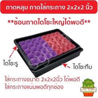 จัดชุด ถาดหลุม 40 ช่อง+กระถาง2x2x2นิ้ว x 40 ใบ (คละสี/สีล้วน) ถาดหลุมใส่ไดโซะใหญ่ได้ แคตตัส ชุดเพาะเมล็ด สวนจิ๋ว