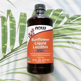 เลซิตินจากเมล็ดดอกทานตะวัน Sunflower Liquid Lecithin 473 mL (Now Foods) ช่วยระบบประสาท บำรุงสมอง เร่งเผาผลาญ เสริมความจำ