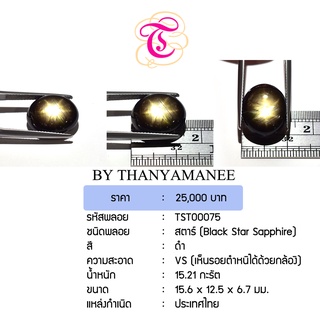 พลอยสตาร์ Black Star Sapphire ขนาด 15.6x12.5x6.7 มม. พลอยแท้ มีใบรับรอง