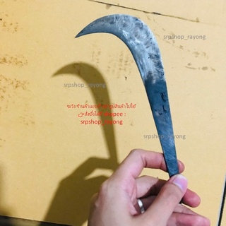 9) ขอสอย ขอแต่งกิ่ง ขอชัก ตรา น.หนู ทำจากเหล็กใบกบอย่างดี #s…