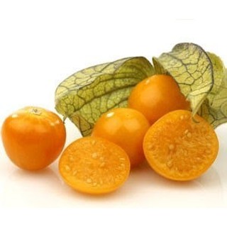 เมล็ดแคปกูสเบอรี่ - Cape gooseberryหรือโทงเทงฝรั่ง