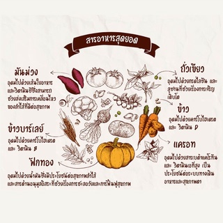 ANF Organic 6 Free อาหารแมว ออร์แกนิค ขนาด 2 kg.