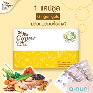 Ginger Gold จินเจอร์​โกลด์ วิตามินเพิ่มน้ำนม 1กล่อง 30 เม็ด บำรุงน้ำนมเหมาะสำหรับคุณแม่หลังคลอด Milkplusandmore