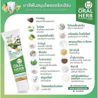 จัดส่งจากประเทศไทย Oral Herb ยาสีฟันสมุนไพร ออรัลเฮิร์บ ขนาด 30g ยาสีฟันของแท้